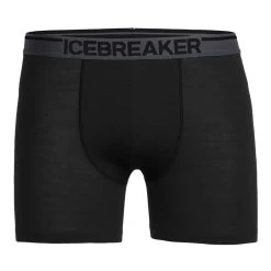 Icebreaker Herren Boxershorts Antomica Boxers